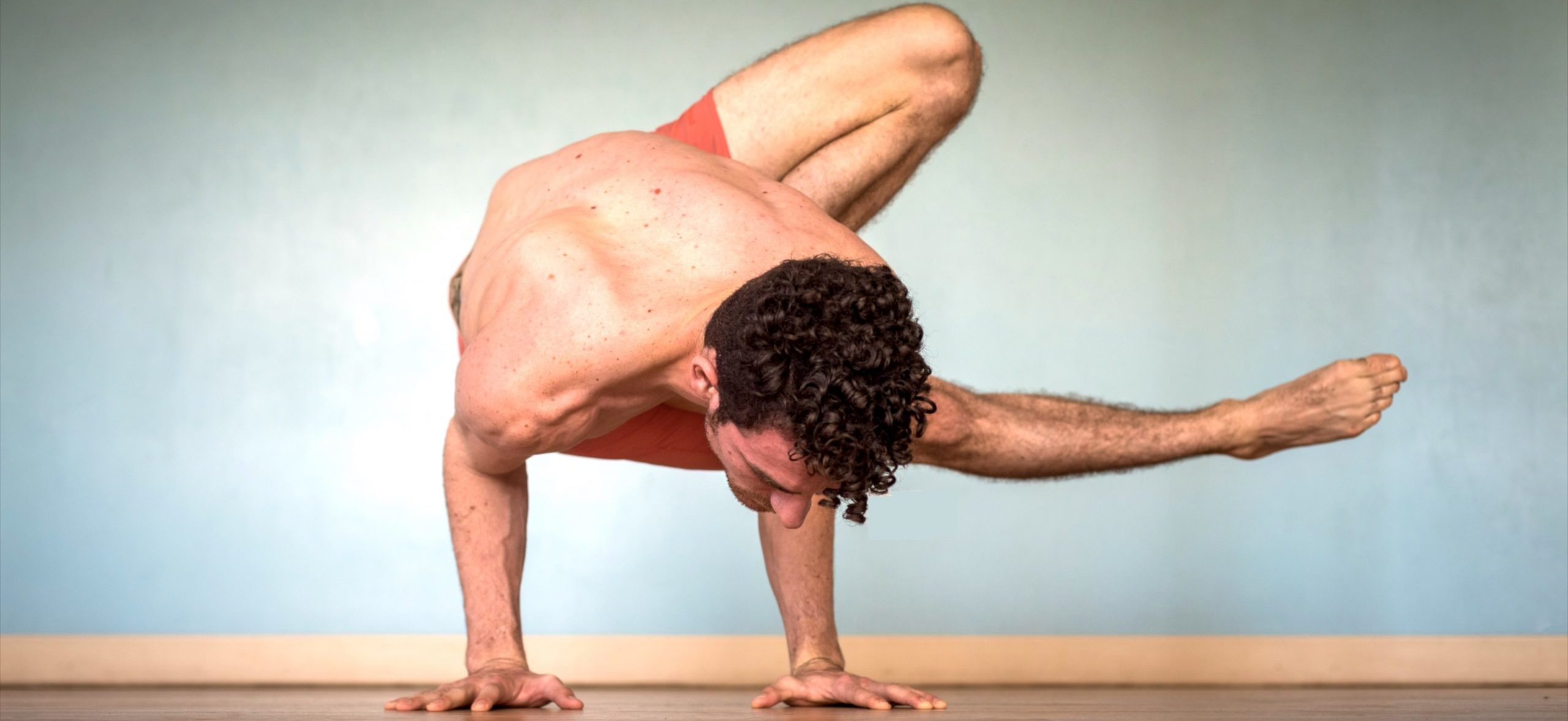 Rob Lejman Parsva Bhuja Dandasana 2019