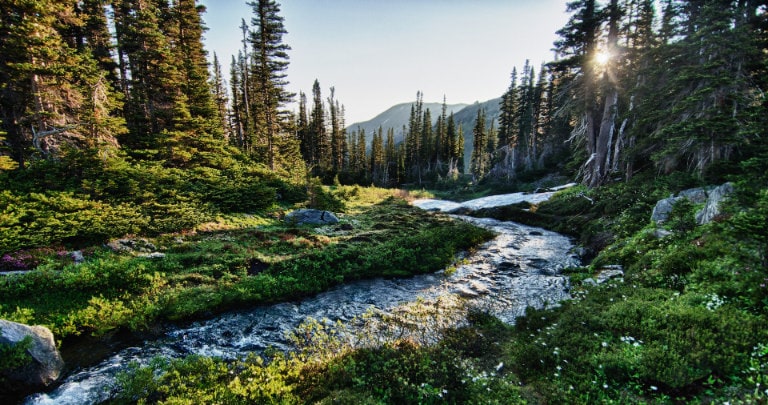 Olympic National Park